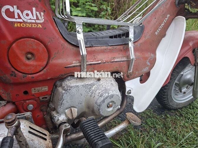 Honda Chaly 1981 Đỏ Đã sử dụng