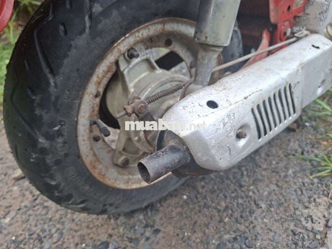 Honda Chaly 1981 Đỏ Đã sử dụng