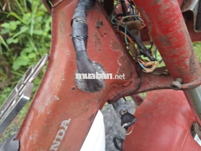 Honda Chaly 1981 Đỏ Đã sử dụng