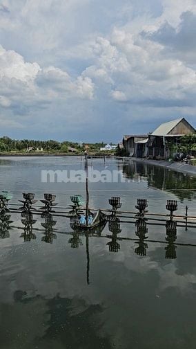 Chính chủ đứng bán đất thủy sản đường Hà Quang Vóc 