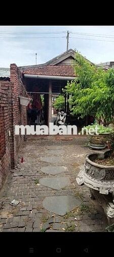 Bán đất tặng nhà gỗ + nhà C4 ,250m2 mặt tiền quốc lộ 1