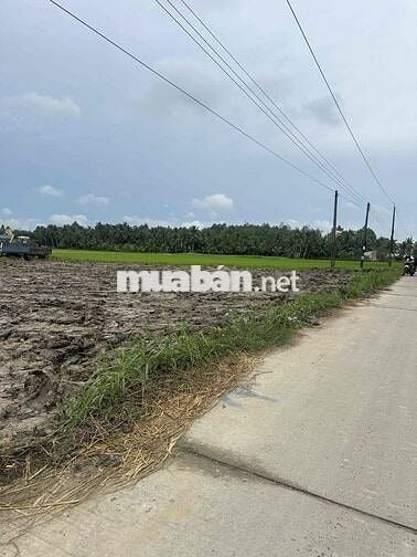 Đất nền Đường bêtông 3m Lò Ngò Tập Ngãi Vĩnh Long