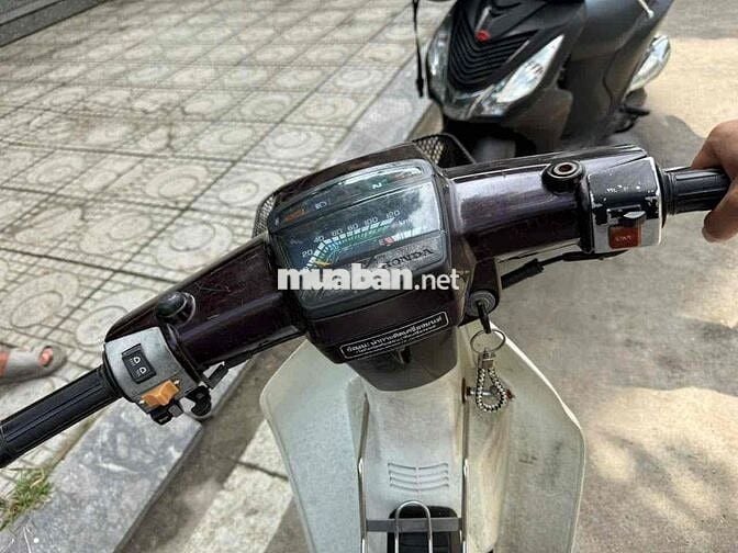 Honda Dream Thái Nâu, Trắng