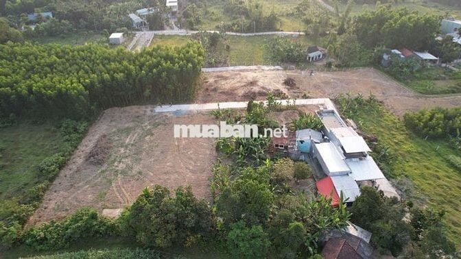 CHÍNH CHỦ CẦN BÁN LÔ ĐẤT NHÀ VƯỜN TẠI THÔN NINH AN, XÃ BÀ NÀ, ĐÀ NẴNG