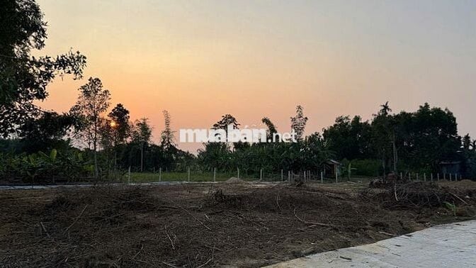 CHÍNH CHỦ CẦN BÁN LÔ ĐẤT NHÀ VƯỜN TẠI THÔN NINH AN, XÃ BÀ NÀ, ĐÀ NẴNG
