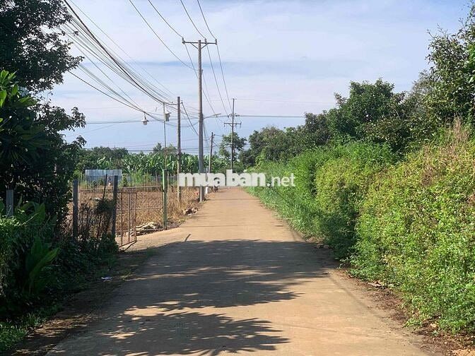 Bán Rẻ Đất Xây Biệt Thự Nghỉ Dưỡng