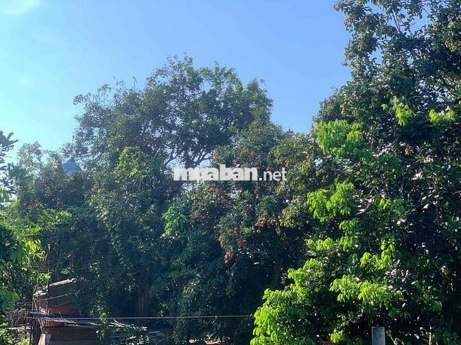 Bán Rẻ Đất Xây Biệt Thự Nghỉ Dưỡng