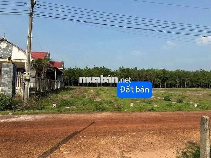 ĐẤT THỔ CƯ TPHCM (DẦU TIẾNG CŨ)| 206m² CÓ SẴN 100m² THỔ CƯ 