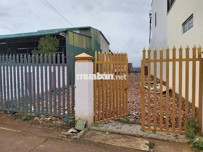 LÔ ĐẤT ĐẸP 990tr - SÁT TRƯỜNG TIỂU HỌC TÂN NGHĨA 2
