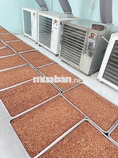 TUYỂN NHÂN VIÊN VẬN HÀNH MÁY HÓC MÔN 
