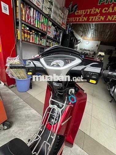 Honda  neo kim dọn phun kiểng biển tp btt
