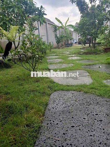 Nhà Vườn 300m2 Củ Chi , cần bán gấp , 2 tỷ 8 thương lượng