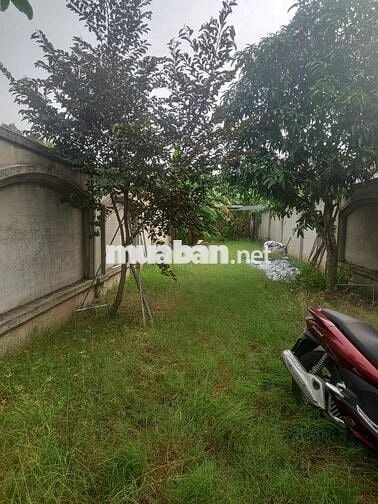 Nhà Vườn 300m2 Củ Chi , cần bán gấp , 2 tỷ 8 thương lượng