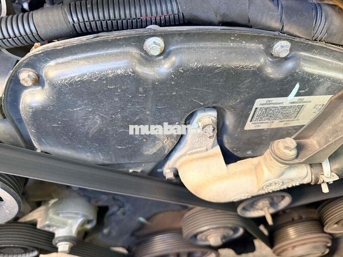 Ford Transit Trắng 16 chỗ 306.568 km