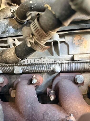 Ford Transit Trắng 16 chỗ 306.568 km