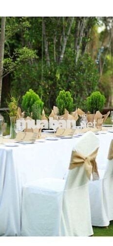 NHÀ LỚN CHO THUÊ CHÍNH CHỦ ,309BIS HUỲNH VĂN BÁNH,P11,Q.PHÚ NHUẬN