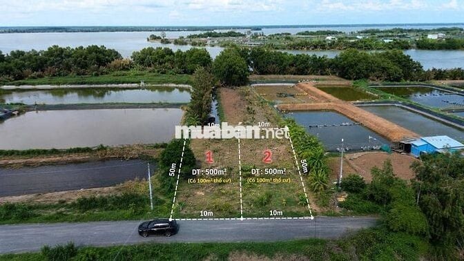 🌿 ĐẤT VƯỜN VEN RẠCH – GẦN SÔNG MEKONG | 500m² CÓ THỔ CƯ | ĐƯỜNG NHỰA
