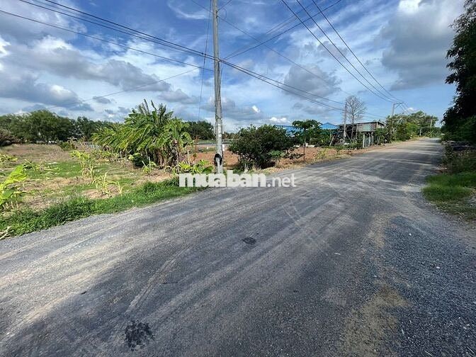 🌿 ĐẤT VƯỜN VEN RẠCH – GẦN SÔNG MEKONG | 500m² CÓ THỔ CƯ | ĐƯỜNG NHỰA
