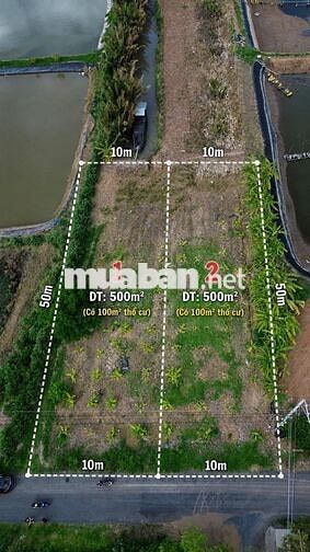 🌿 ĐẤT VƯỜN VEN RẠCH – GẦN SÔNG MEKONG | 500m² CÓ THỔ CƯ | ĐƯỜNG NHỰA