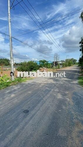 🌿 ĐẤT VƯỜN VEN RẠCH – GẦN SÔNG MEKONG | 500m² CÓ THỔ CƯ | ĐƯỜNG NHỰA