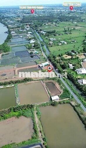 🌿 ĐẤT VƯỜN VEN RẠCH – GẦN SÔNG MEKONG | 500m² CÓ THỔ CƯ | ĐƯỜNG NHỰA