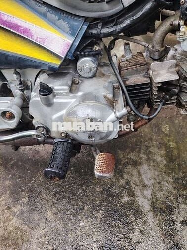 Suzuki Best Xanh