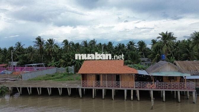 NHÀ GỖ BÊN SÔNG SÁT PHÀ BÌNH NINH – 400m² THỔ CƯ, SẴN KÈ KIÊN CỐ