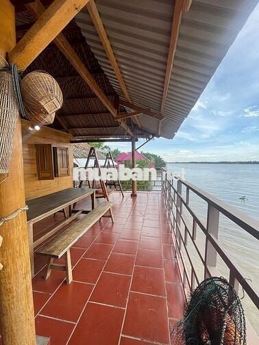 NHÀ GỖ BÊN SÔNG SÁT PHÀ BÌNH NINH – 400m² THỔ CƯ, SẴN KÈ KIÊN CỐ