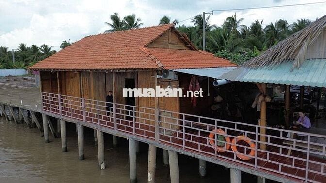 NHÀ GỖ BÊN SÔNG SÁT PHÀ BÌNH NINH – 400m² THỔ CƯ, SẴN KÈ KIÊN CỐ