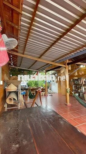 NHÀ GỖ BÊN SÔNG SÁT PHÀ BÌNH NINH – 400m² THỔ CƯ, SẴN KÈ KIÊN CỐ
