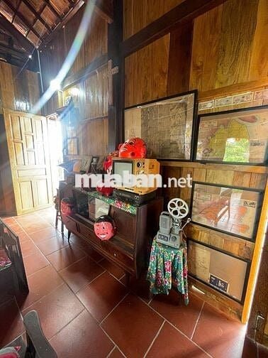 NHÀ GỖ BÊN SÔNG SÁT PHÀ BÌNH NINH – 400m² THỔ CƯ, SẴN KÈ KIÊN CỐ