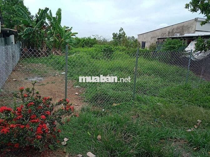 CẦN BÁN ĐẤT VIEW SÔNG XÃ MỸ HIỆP HUYỆN CAO LÃNH TỈNH ĐỒNG THÁP