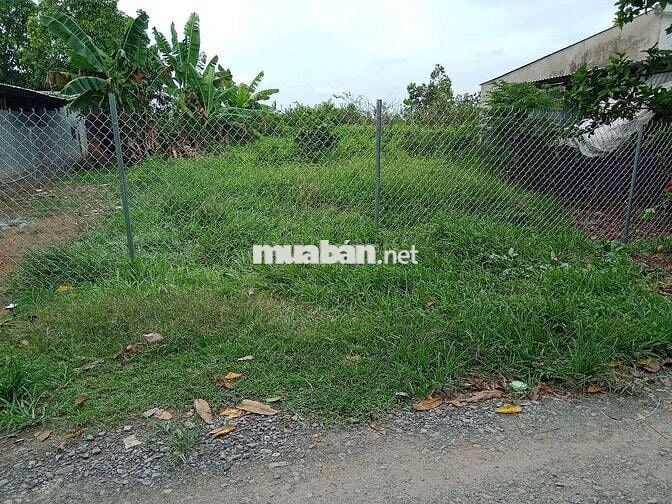 CẦN BÁN ĐẤT VIEW SÔNG XÃ MỸ HIỆP HUYỆN CAO LÃNH TỈNH ĐỒNG THÁP