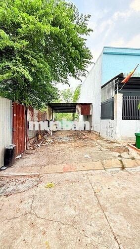 Bán lô đất TĐC Hố Lang TĐH TP HCM