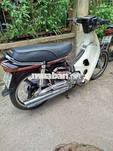 Honda Dream Nâu, Trắng êm