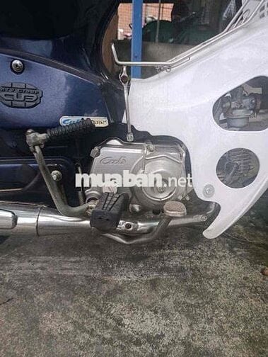 Honda Cub 2019 Trắng, Xanh Đã sử dụng