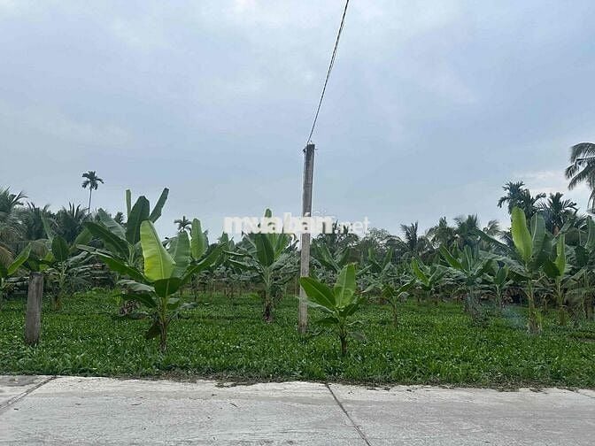 🏡 BÁN ĐẤT PHƯỜNG PHÚ THỨ – QUẬN CÁI RĂNG – CẦN THƠ 🏡  📍 Vị trí đẹp: Rạ