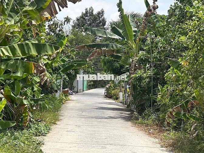🏡 BÁN ĐẤT PHƯỜNG PHÚ THỨ – QUẬN CÁI RĂNG – CẦN THƠ 🏡  📍 Vị trí đẹp: Rạ