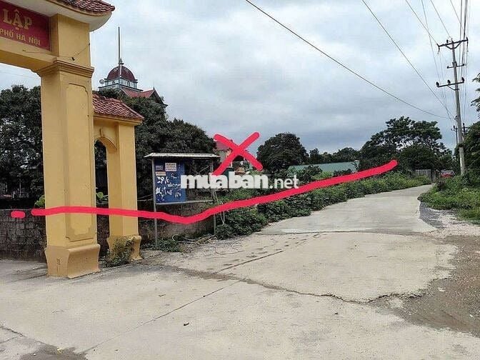 đất vàng mặt đường làm biệt thự đẹp