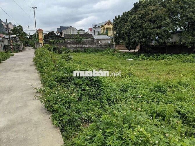 đất vàng mặt đường làm biệt thự đẹp