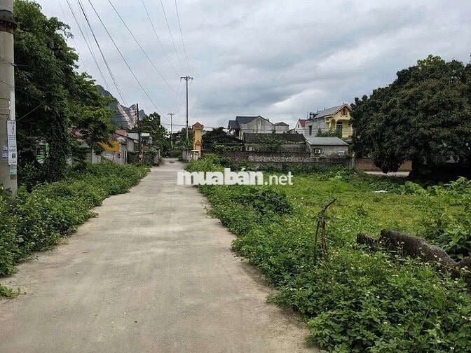 đất vàng mặt đường làm biệt thự đẹp