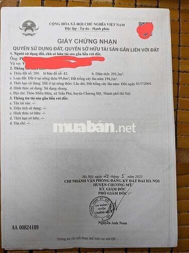 đất vàng mặt đường làm biệt thự đẹp