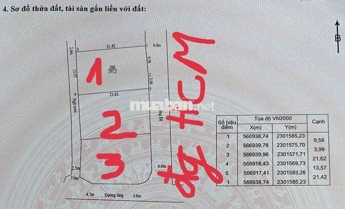 đất vàng mặt đường làm biệt thự đẹp