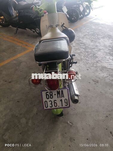 Honda Cub 81 Xanh lá