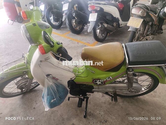Honda Cub 81 Xanh lá