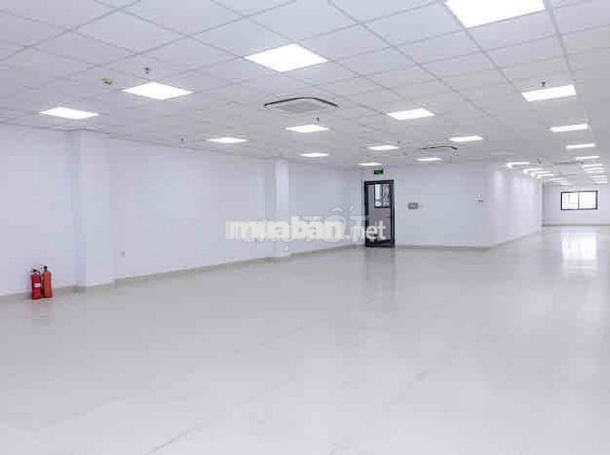 CỰC HOT!!! - 21C Hoàng Việt P4, Q.TB - 8x20m - 7 tầng - CÓ THANG MÁY