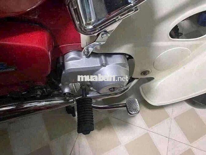 Honda Cub Cổ điển Đỏ
