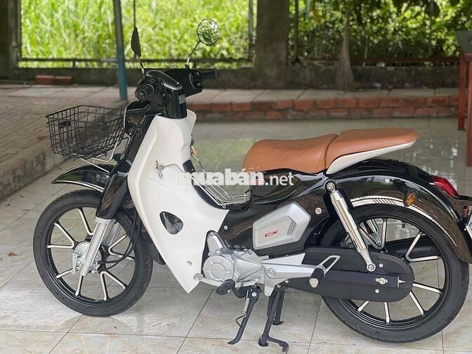 Honda Cup 50cc 2025 Đen, Trắng 1000 km