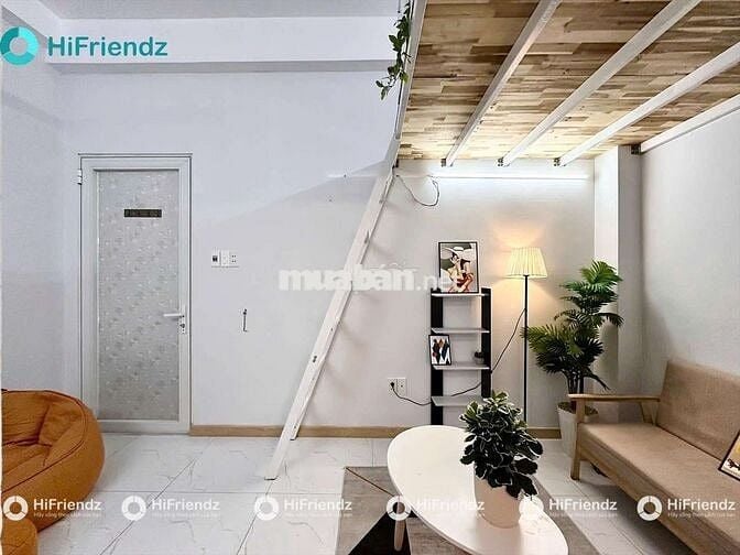 THIẾT KẾ BẮT MẮT LÊ ĐỨC THỌ GIÁ HỌC SINH SINH VIÊN