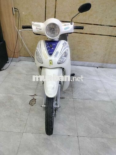 SYM Angela 50 Trắng , Học Sinh Đi Học Êm Mượt 